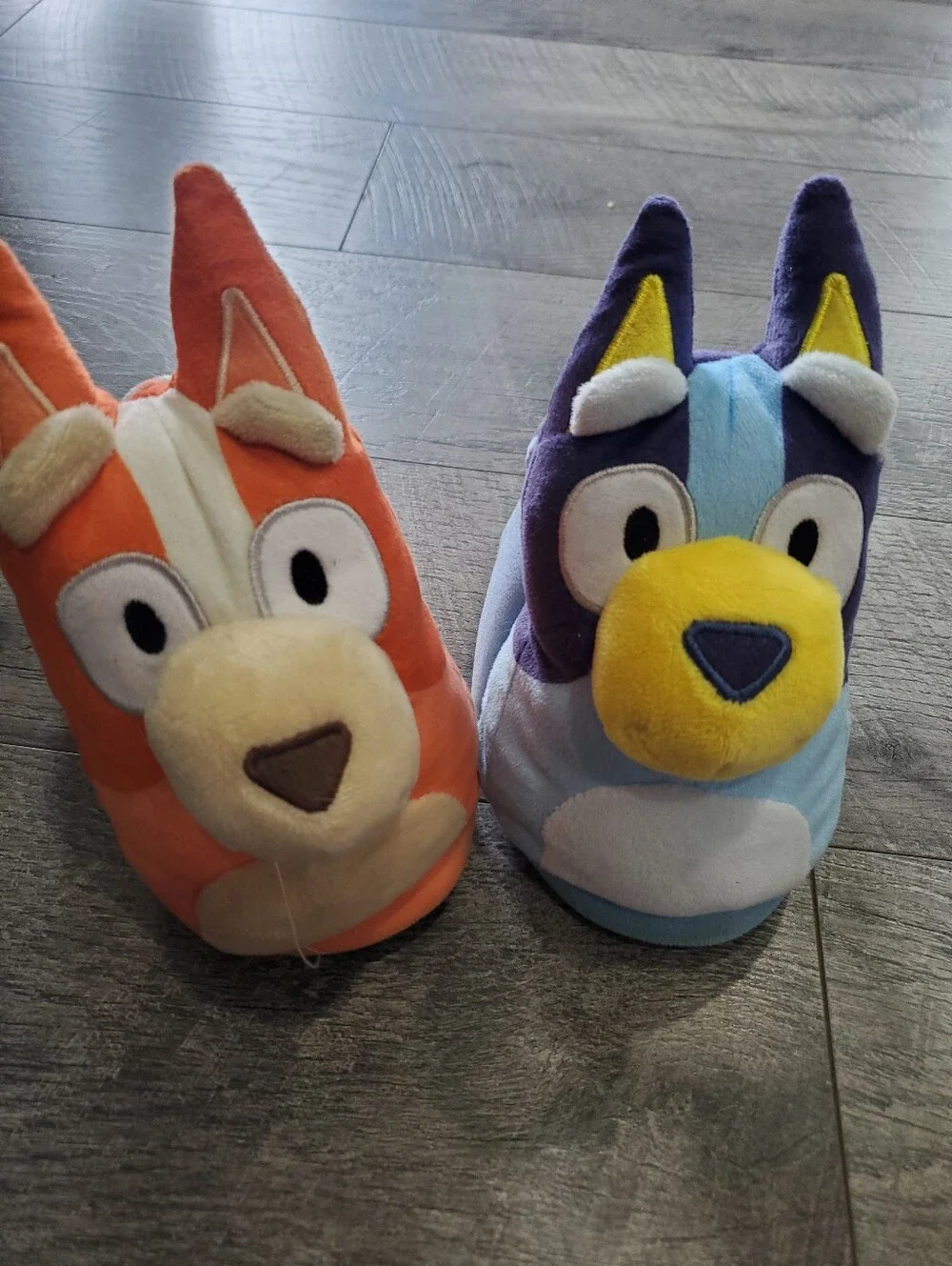 Kids Paw Patrol And Bluey Slippers